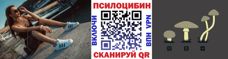 купить  цена  Зима  Галлюциногенные грибы мицелий 